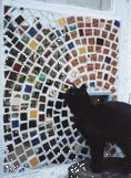 Alice's mosaic cat flap