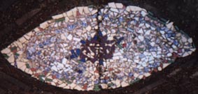 pupa mosaic
