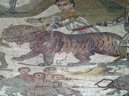 tiger mosaic