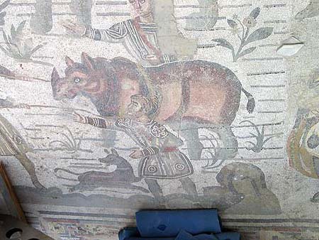 rhino mosaic