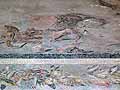 Mosaic of wild boar and a dog