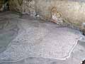 An unpatterned mosaic floor