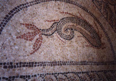 dolphin mosaic